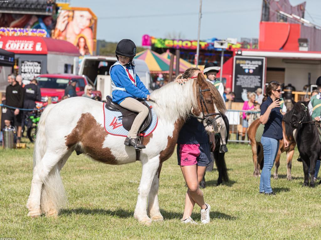 របៀបនៃការពង្រឹងប្បធម៌ការតៃឡានហ្គេម