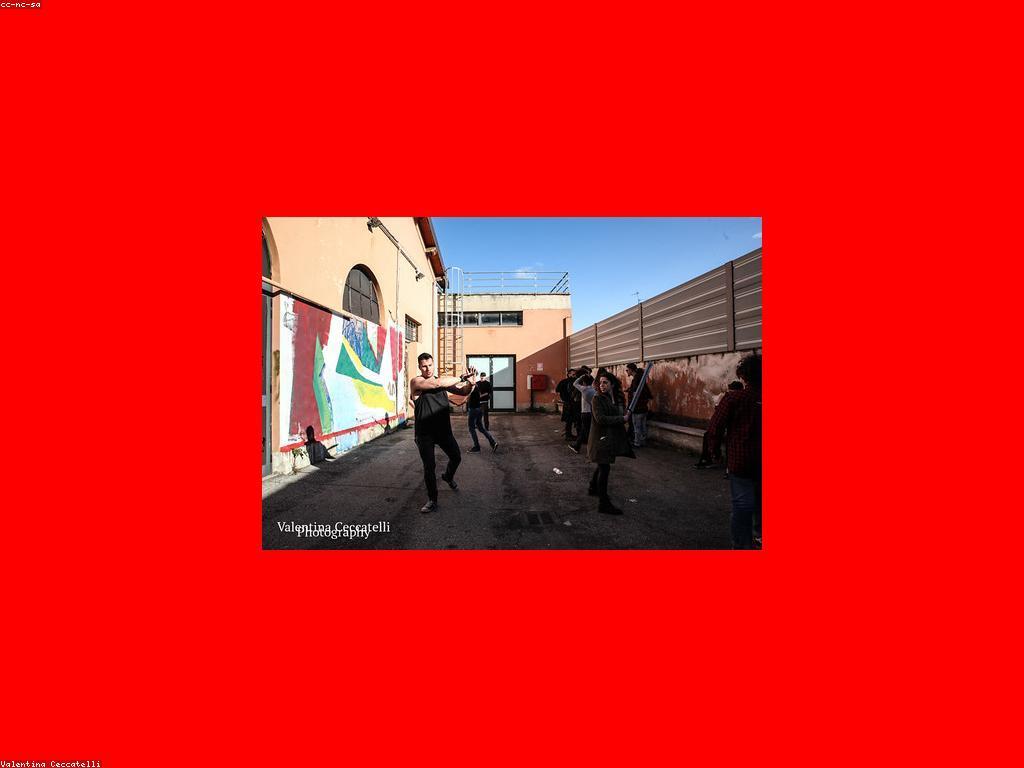 ការចេញផ្សាយហ្គេមថ្មីក្នុងឆ្នាំនេះ