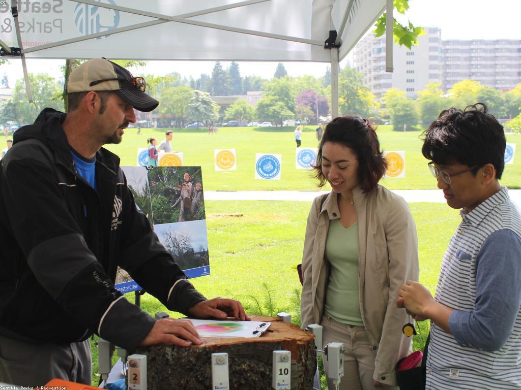សង្គមនៃការតៃឡានហ្គេម: ភាពជាដៃគូ និងភាពទាក់ទាញ