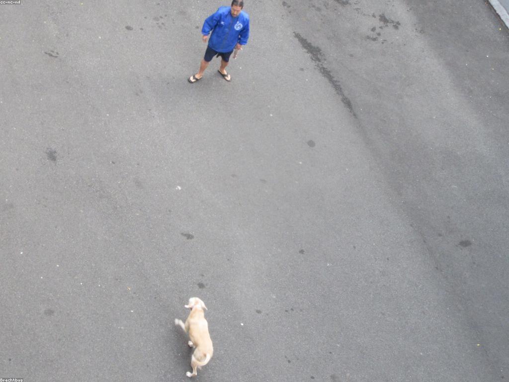 អភិវឌ្ឍន៍នៃហ្គេមថ្មី